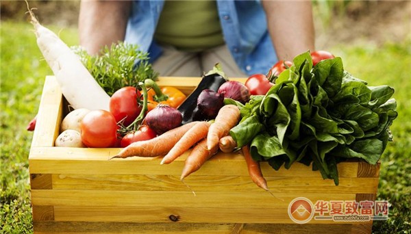 博扬有机食品专卖店加盟